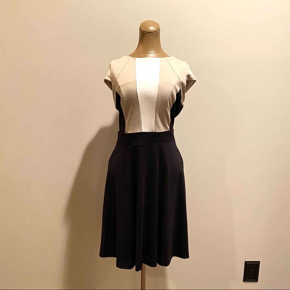 Madison Black Colorblock Fit & Flare Knit Dress